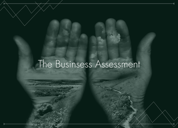 The Business Assessment